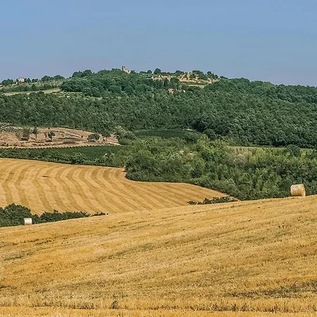 Magnifique Maison à Hébergement de vacances